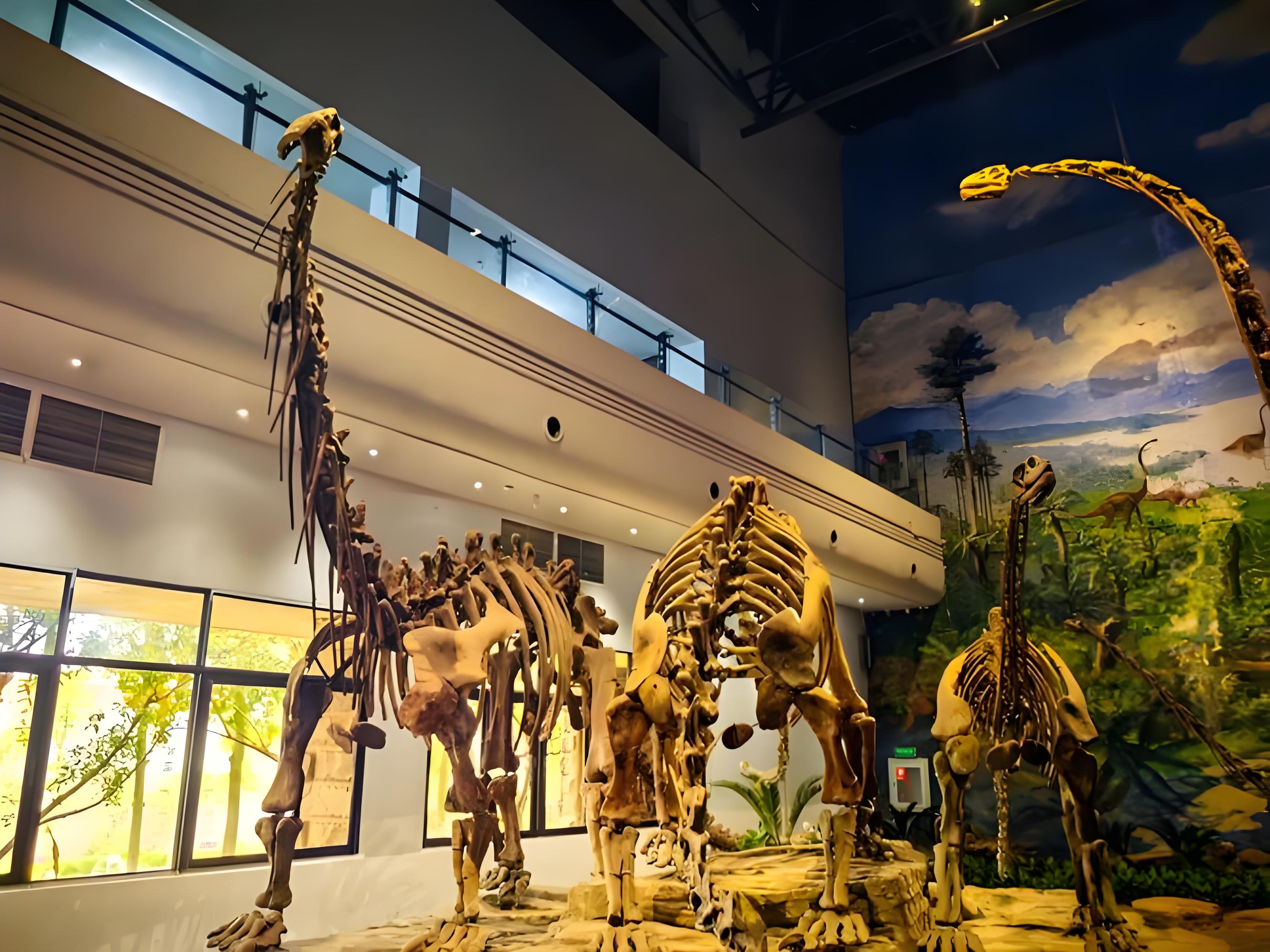 自贡恐龙博物馆